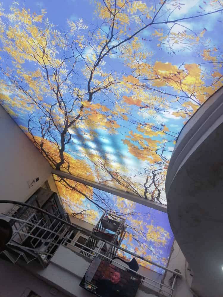 Ceilingfy - Premium 3D Stretch Ceiling Solutions in Delhi NCR